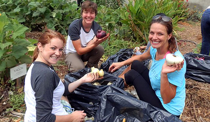 Project Angel Food - Volunteers Group - St Marys Garden Planting 7-13