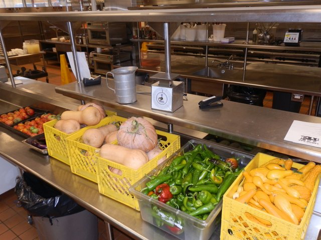 Gardens - Harvested Vegetables Ready to Cook