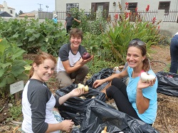 Project Angel Food - Gardening Volunteers
